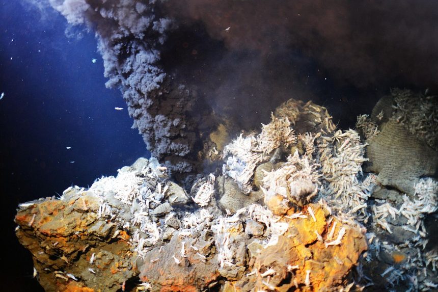 Deep ocean water in darkness