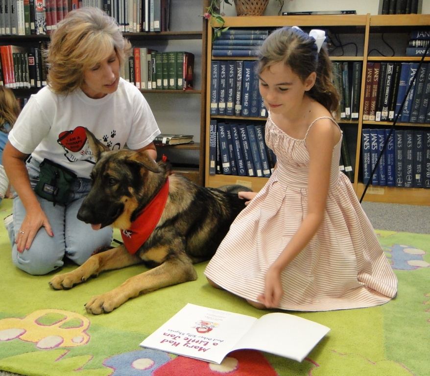 A person reading intently, illustrating concentration and focused attention.